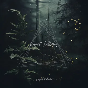 Forest Lullaby: Soothing Sounds of the Wilderness by Sleepwear