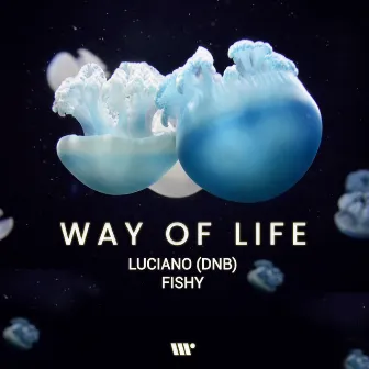 Way of Life by Fishy