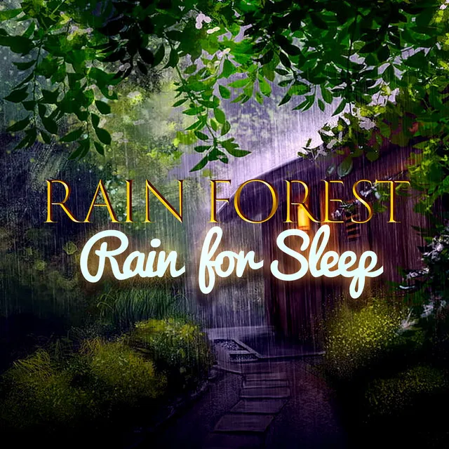 Rainforest: Rain For Sleep