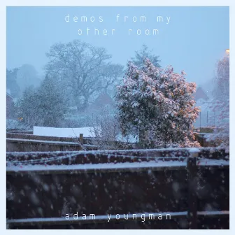 demos from my other room by Adam Youngman