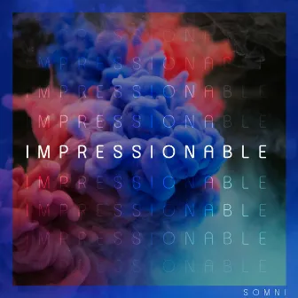 Impressionable by Seth Somni