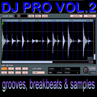 DJ Pro Vol. 2 by THE MIXMASTERS