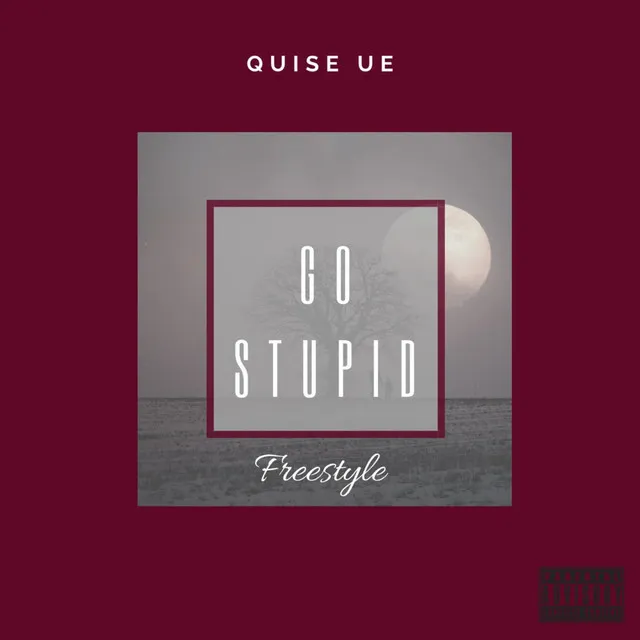 Go Stupid Freestyle