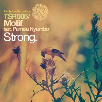 Strong by Motif