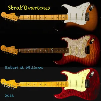 Strat'ovarious by Robert M. Williams