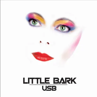 USB by Little Bark