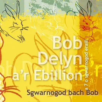 Sgwarnogod Bach Bob by Bob Delyn A'R Ebillion