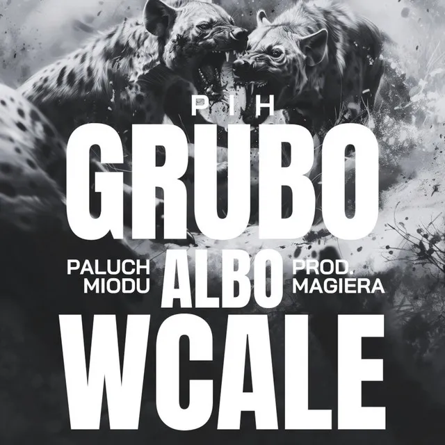 Grubo Albo Wcale