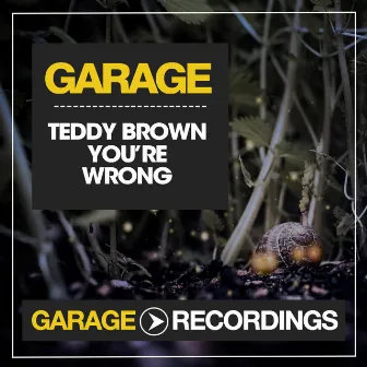 You're Wrong by Teddy Brown