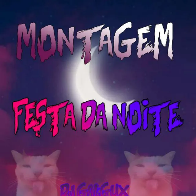 Montagem Festa Da Noite