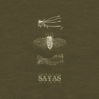 Sayas by Nils Ostendorf