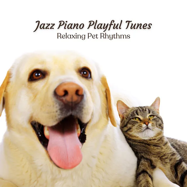 Jazz Piano Playful Tunes: Relaxing Pet Rhythms