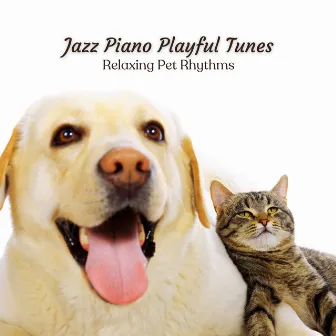 Jazz Piano Playful Tunes: Relaxing Pet Rhythms by Chill Lounge