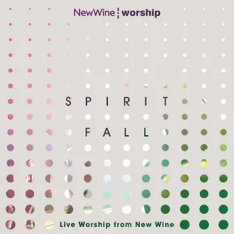 Spirit Fall (Live) by New Wine Worship