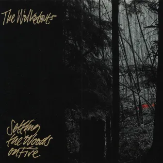 Setting the Woods on Fire by The Walkabouts