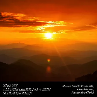 Strauss: 4 Letzte Lieder, TrV 296: No. 3, Beim Schlafengehen by Musica Sancta Ensemble