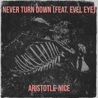 Never Turn Down by Aristotle-Nice