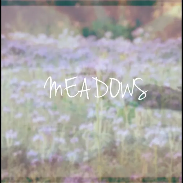 Meadows