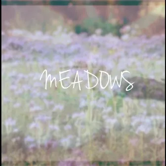 Meadows by Earthworm