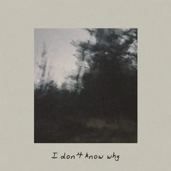 I don't know why by slmnMORE