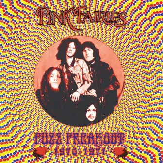 Fuzz Freakout 1970-1971 by The Pink Fairies