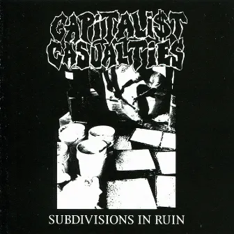 Subdivisions in Ruin by Capitalist Casualties