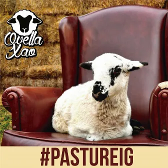 #PASTUREIG by Ovella Xao