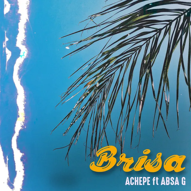 Brisa