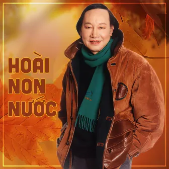 Hoài Non Nước (Dĩa Hát 523-2014) by Lệ Thanh