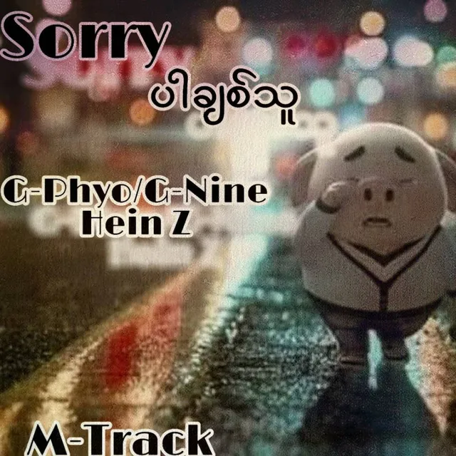 Sorry Par Chit Thu