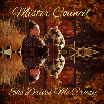 She Drives Me Crazy by Mister Council