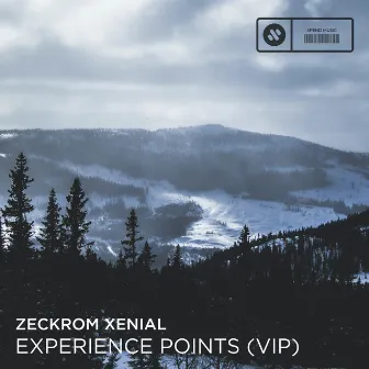 Experience Points by Zeckrom Xenial