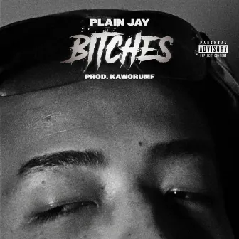 Bitches by Plain Jay