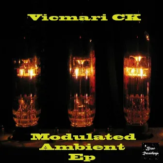 Modulated Ambient EP by The Vicmari