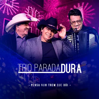 Pensa Num Trêm Que Dói (Ao Vivo) by Trio Parada Dura