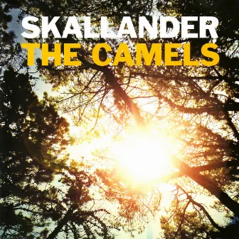 The Camels by Skallander