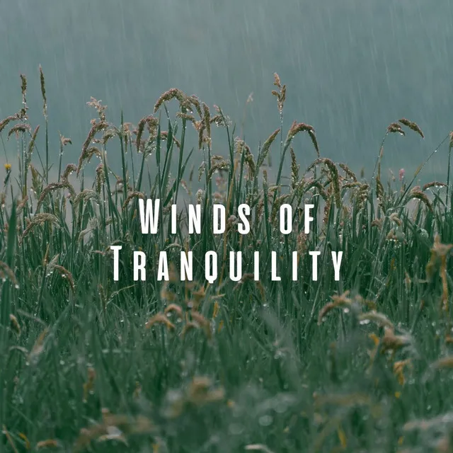 Winds of Tranquility: Relaxation with Birds and Light Rain