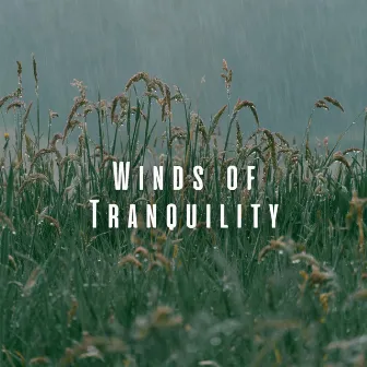 Winds of Tranquility: Relaxation with Birds and Light Rain by Forest Treasures