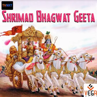 Shrimad Bhagwat Geeta by L.N. Shastry