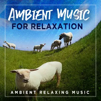 Ambient Music for Relaxation by Unknown Artist