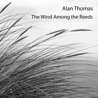 The Wind Among the Reeds by Alan Thomas