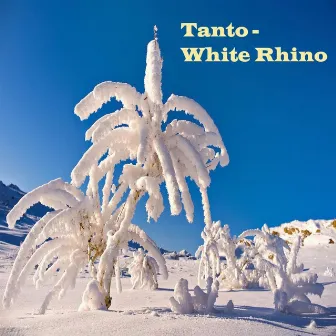 White Rhino by Tanto