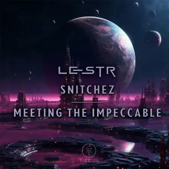 Snitchez / Meeting the Impeccable by LeStR