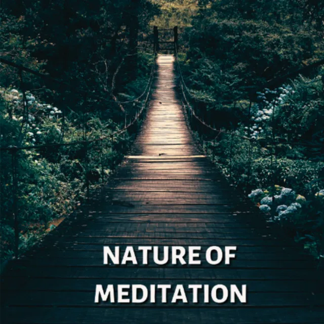 Nature of Meditation