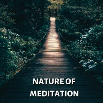 Nature of Meditation by Sons da Natureza