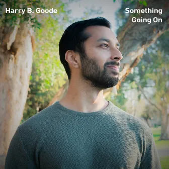 Something Going On by Harry B. Goode