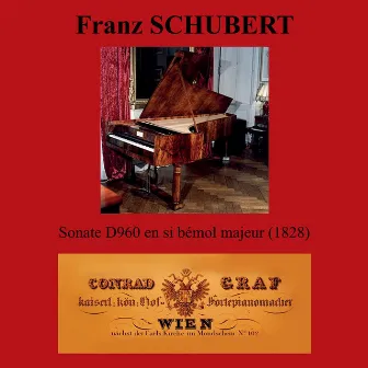 Franz Schubert: Sonate D960 en Si Bémol Majeur by Alain Roudier