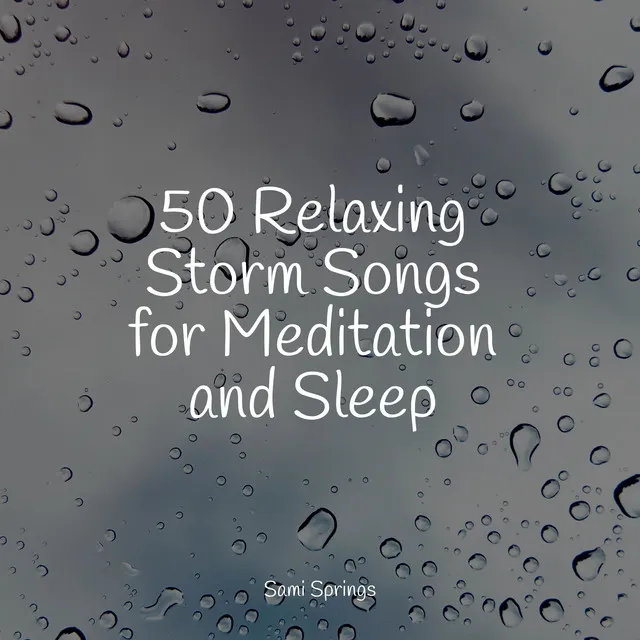 50 Relaxing Storm Songs for Meditation and Sleep