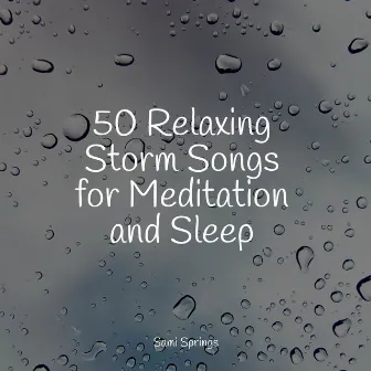 50 Relaxing Storm Songs for Meditation and Sleep by Sons da Natureza Relax