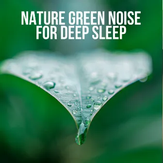 Nature Green Noise for Deep Sleep by Catch Your Dream